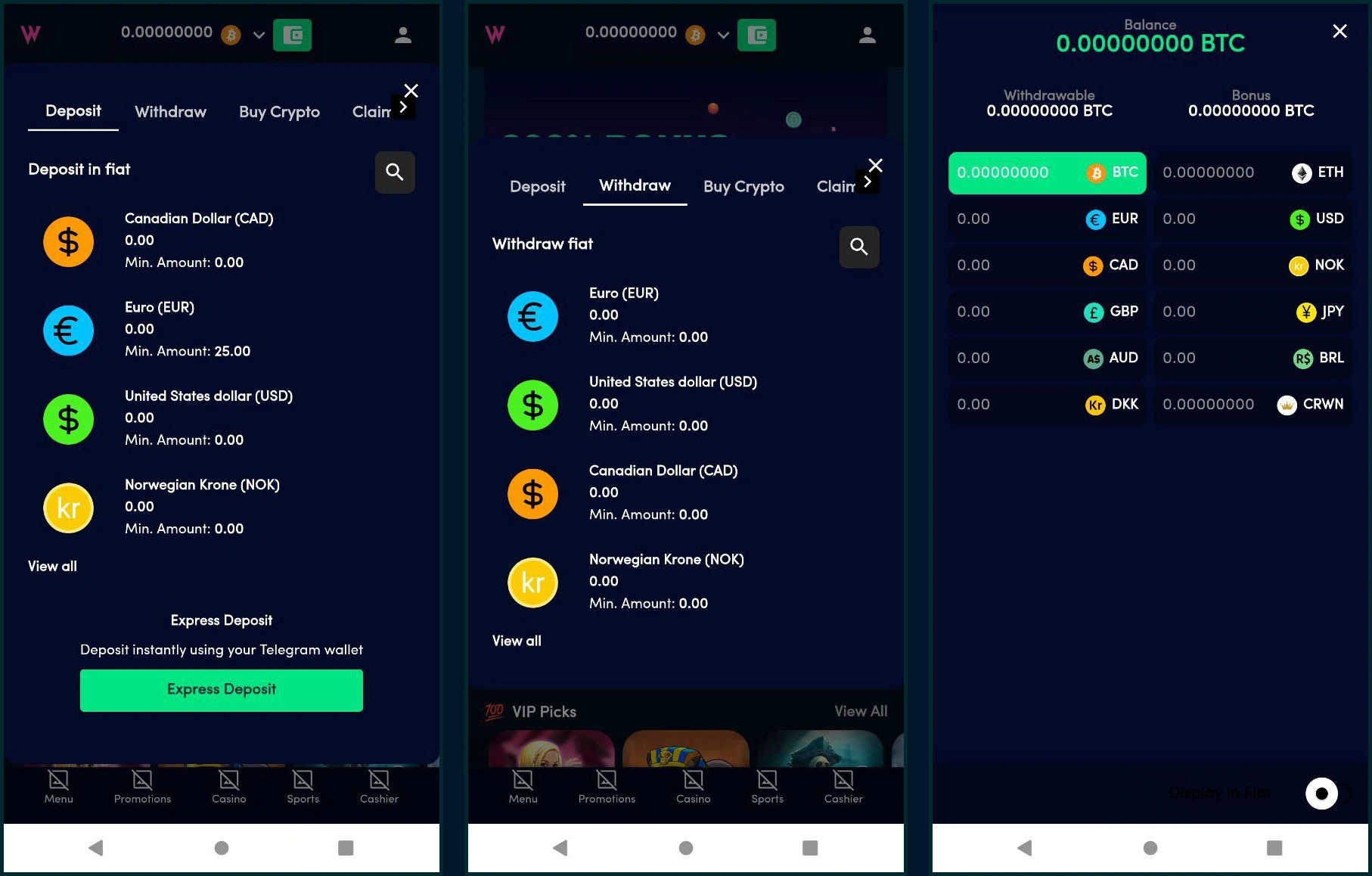 Wolfz casino payment methods overview